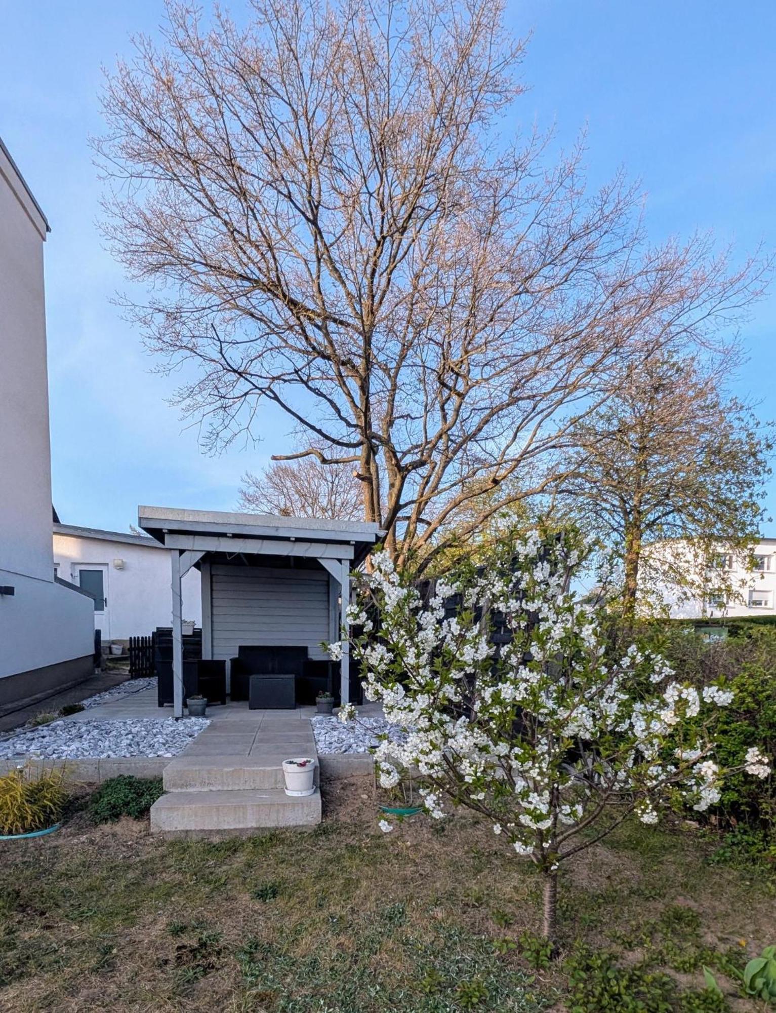 Ferienunterkuenfte Zwischen Meer & See Heringsdorf  Extérieur photo
